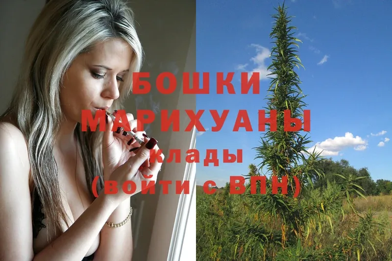 наркошоп  Омск  МАРИХУАНА OG Kush 